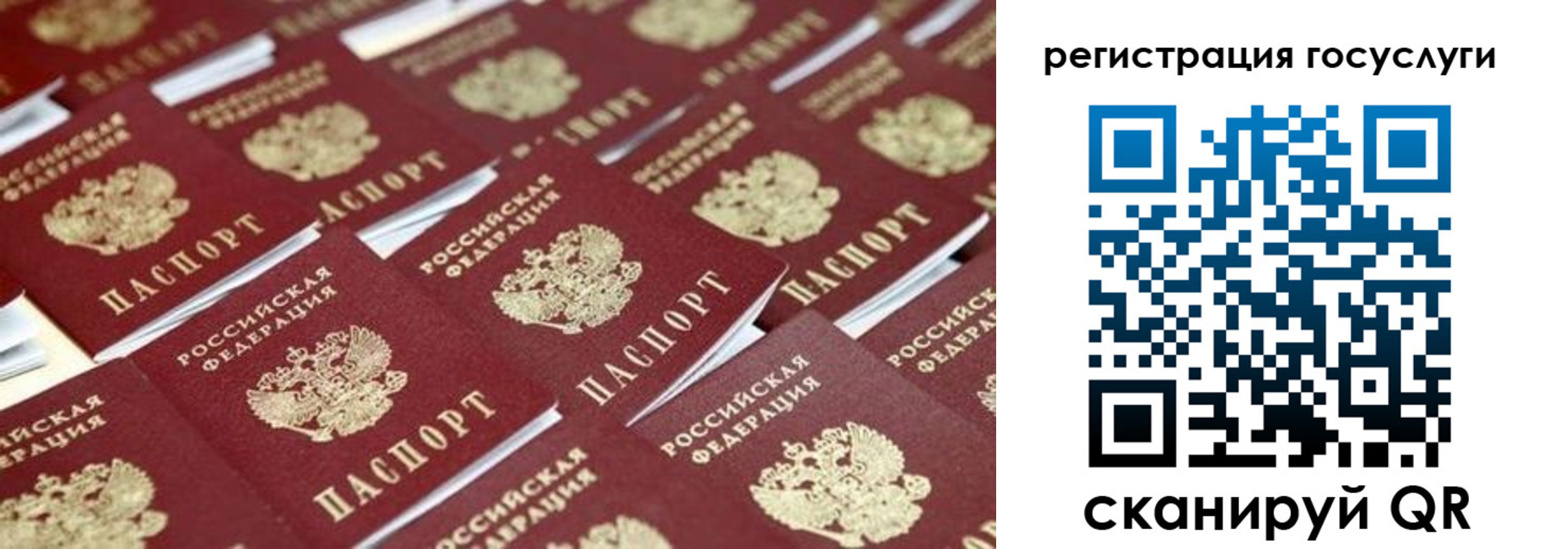 прописка ребенка в Завитинске